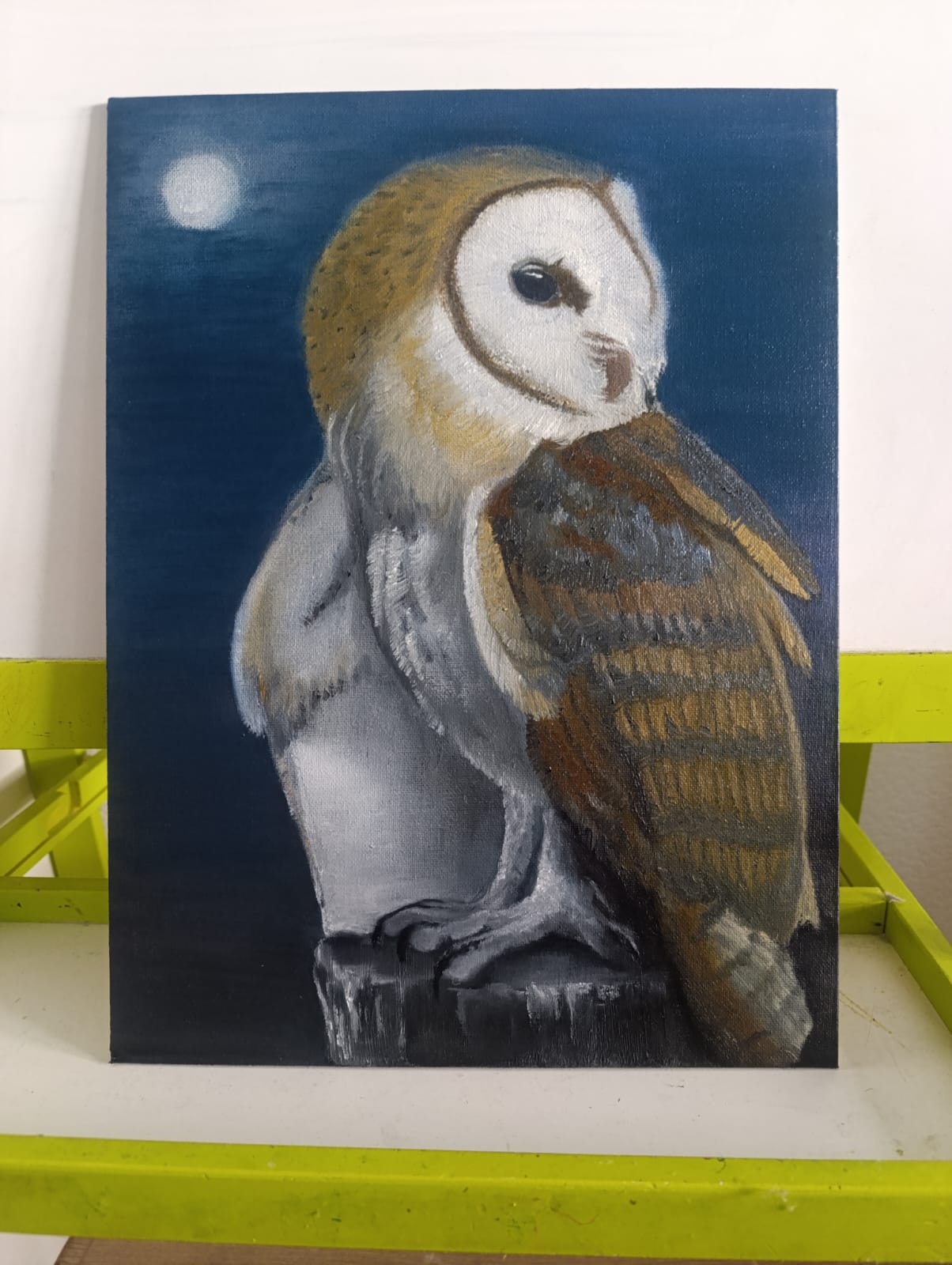 Серия cипуха № 1