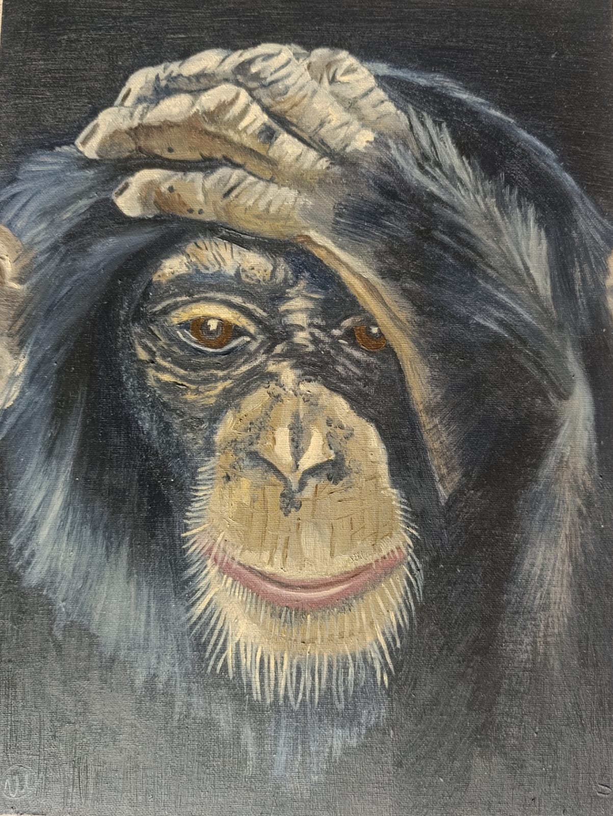 Серия обезьянки № 4