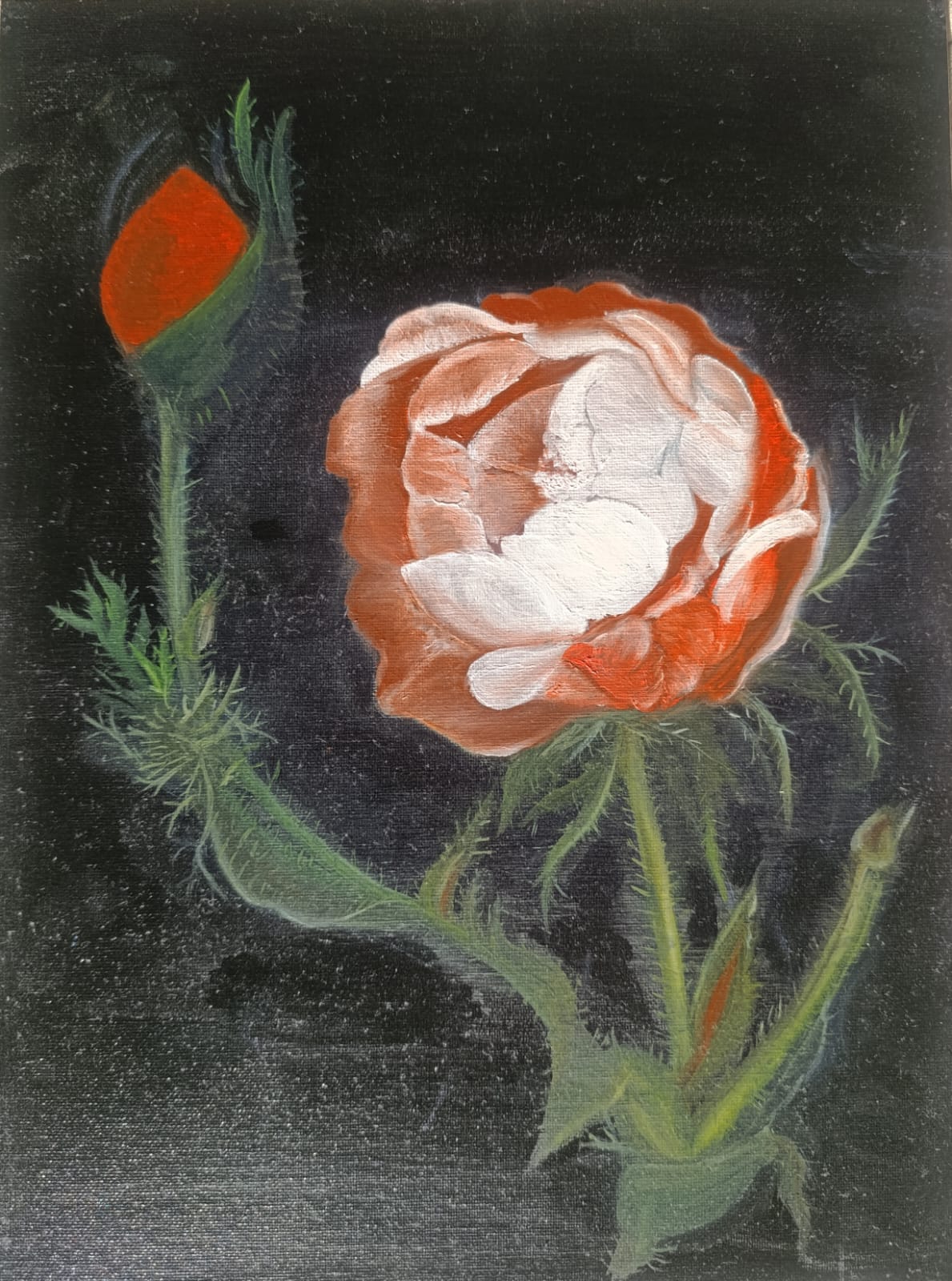 Серия розы № 2