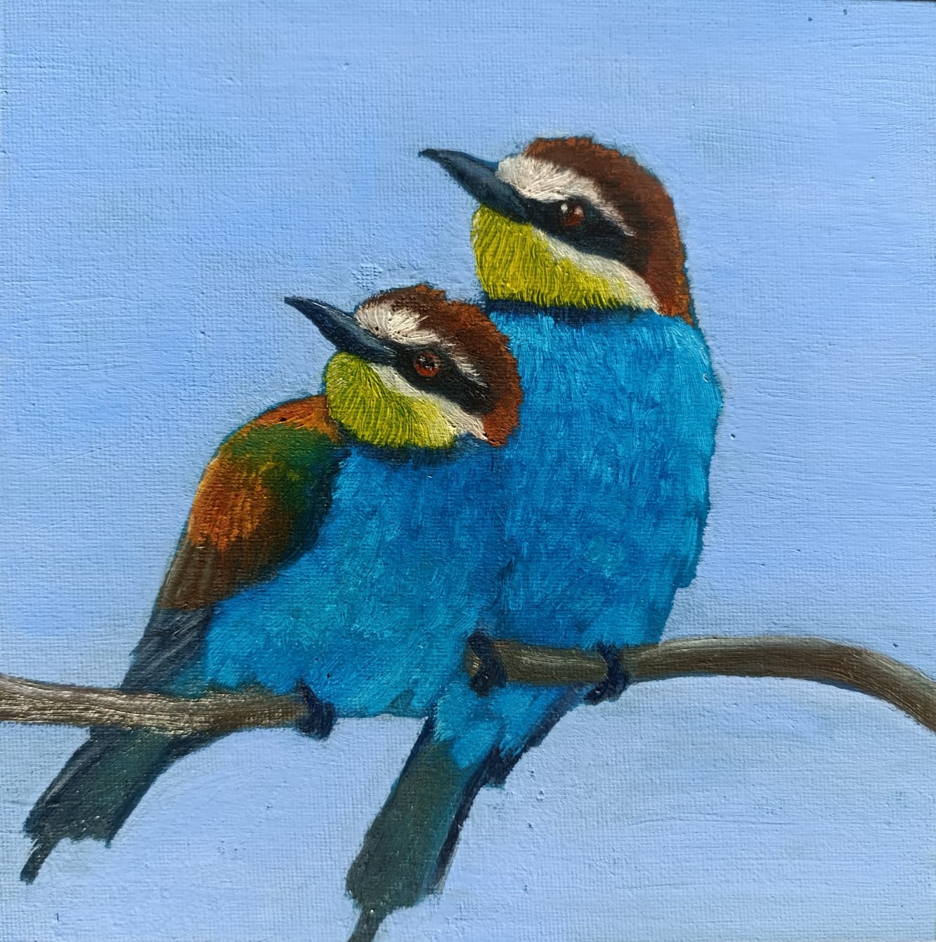 Серия золотистые щурки № 1