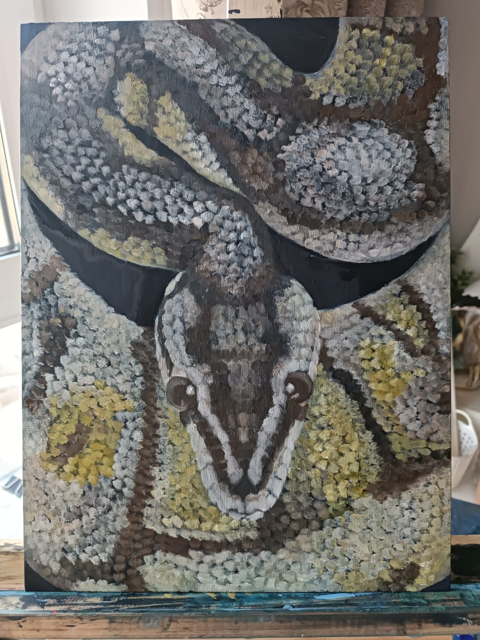 Серия питон № 1