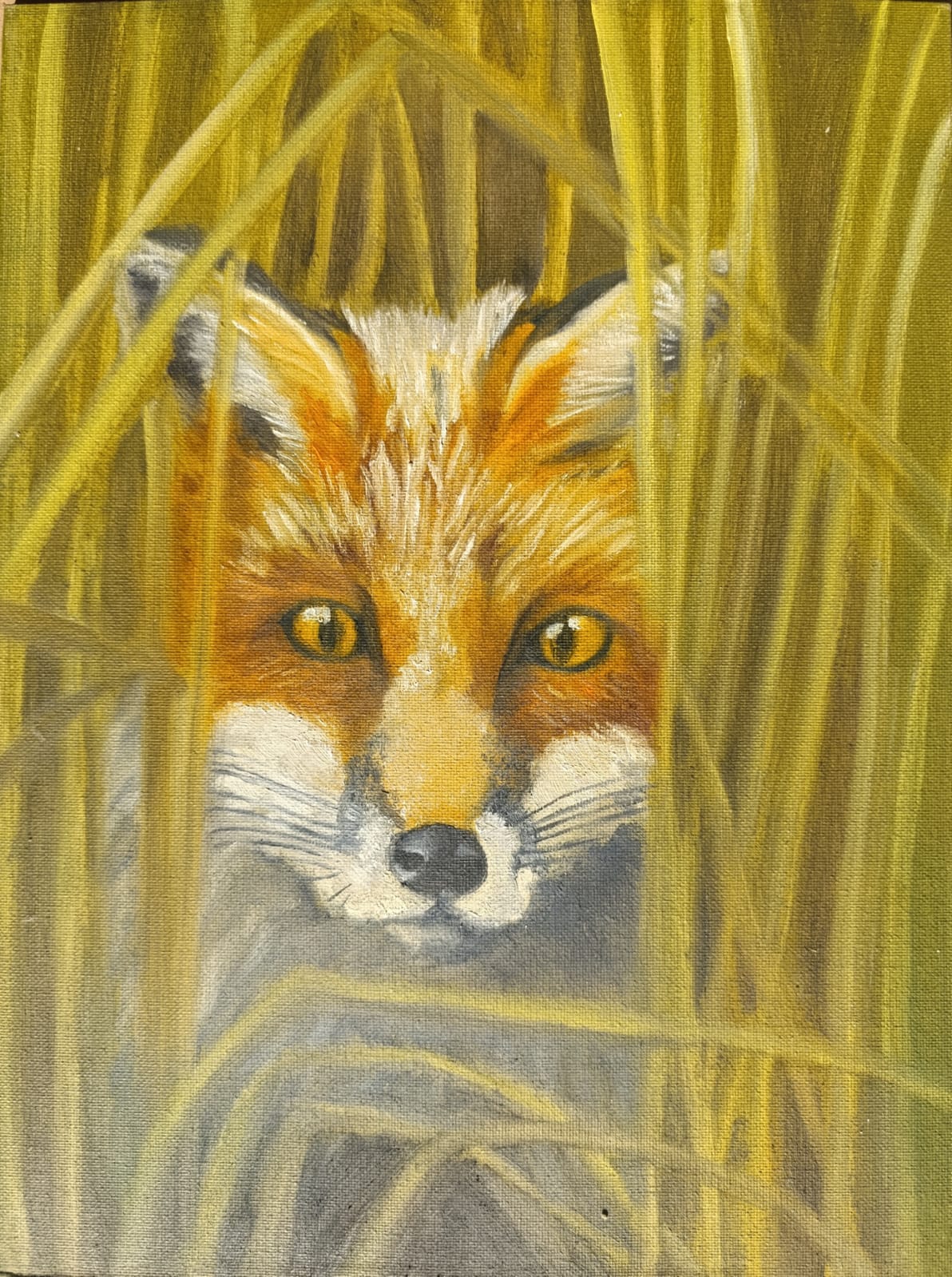 Серия лисы № 1